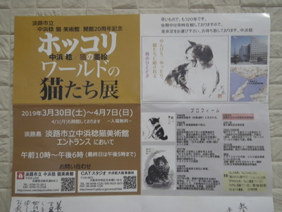 RIMG6913.JPG