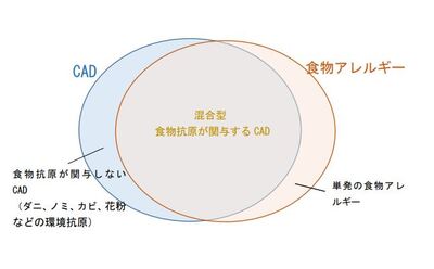 コラムの図　22.11.JPG