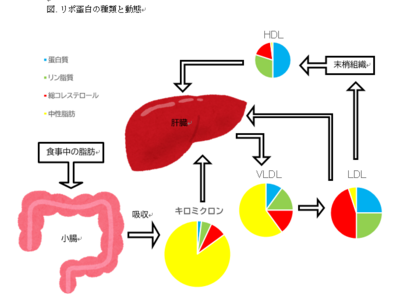 スクリーンショット 2023-06-01 200540.png