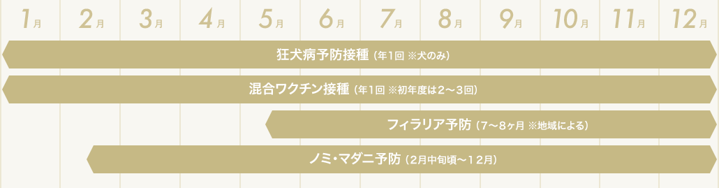 ワン・ネコちゃんの年間予防スケジュール